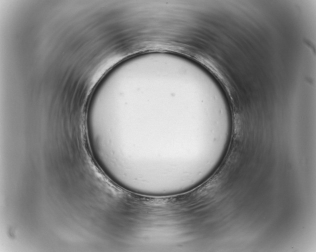 X0000102261048200808151836