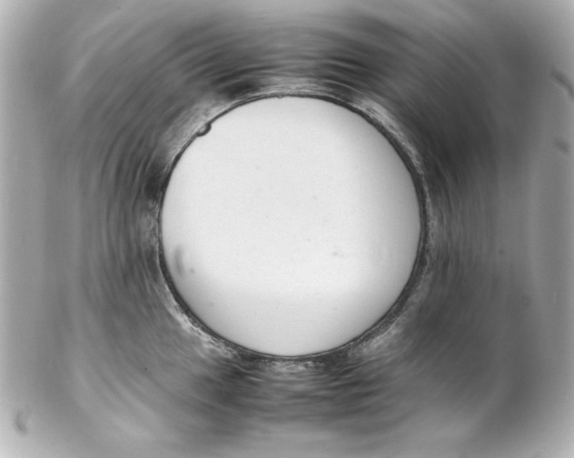 X0000102261049200808151836