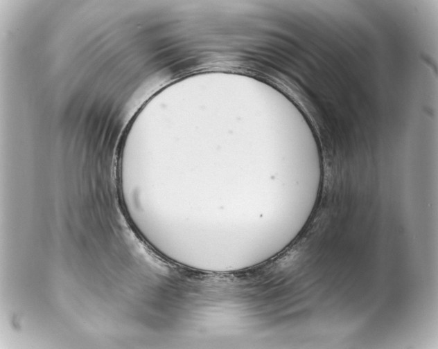 X0000102261050200808151836