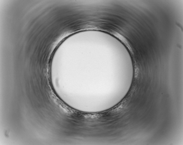 X0000102261051200808151836