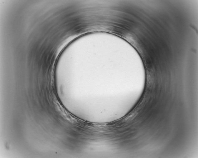 X0000102261052200808151836