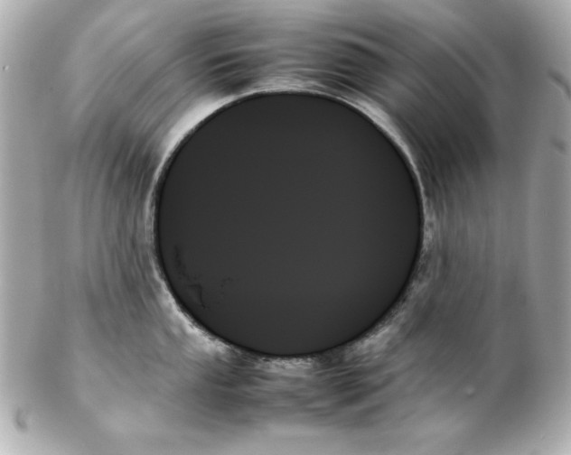 X0000102261053200808151836