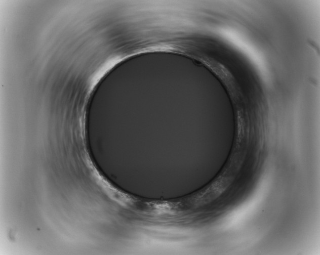 X0000102261054200808151836