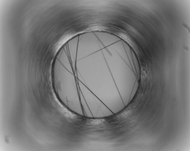 X0000102261055200808151836