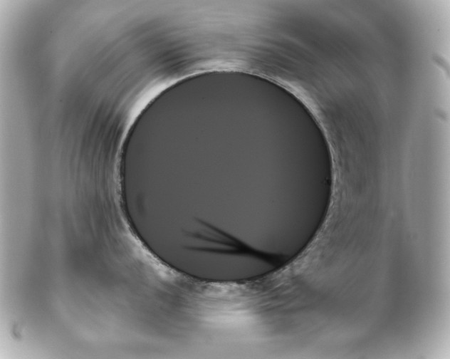 X0000102261056200808151836