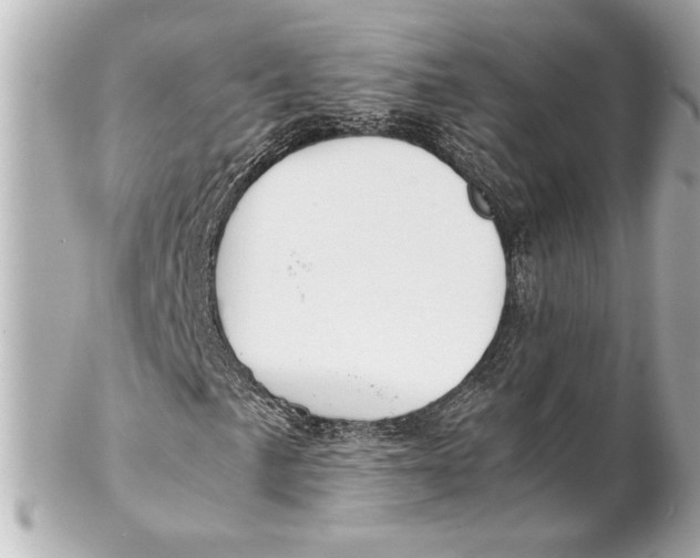 X0000102261057200808151835