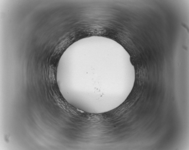 X0000102261058200808151835