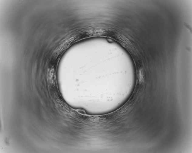 X0000102261059200808151835