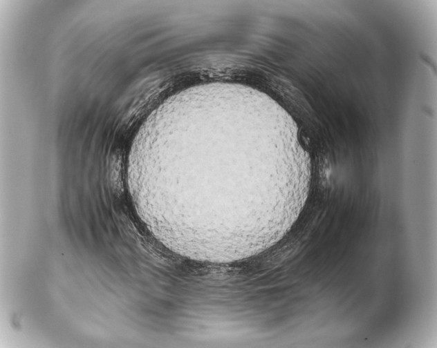 X0000102261060200808151835