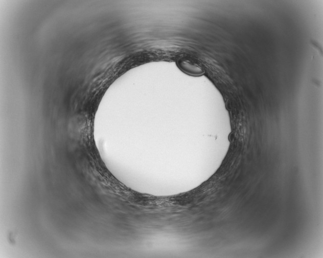 X0000102261061200808151835