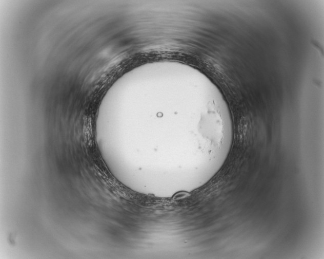 X0000102261062200808151835