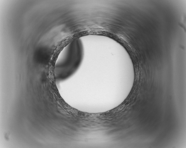 X0000102261063200808151835