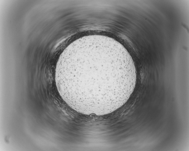 X0000102261064200808151835