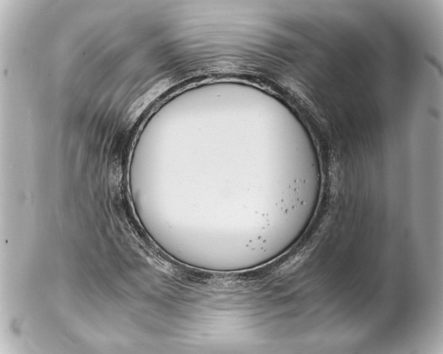 X0000102261065200808151835