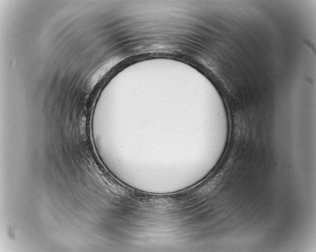 X0000102261066200808151835