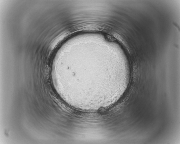 X0000102261067200808151835