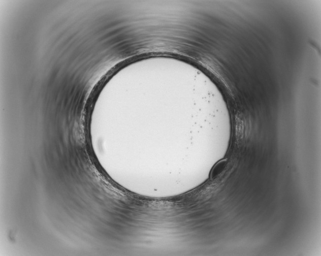 X0000102261068200808151835