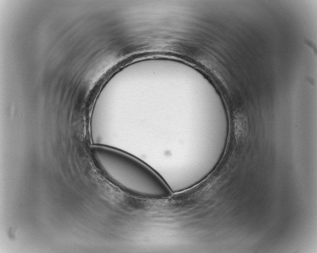 X0000102261069200808151835