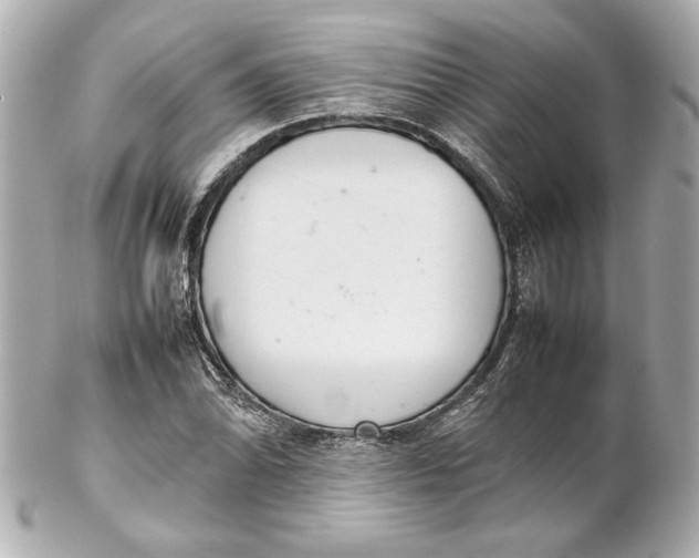 X0000102261070200808151835