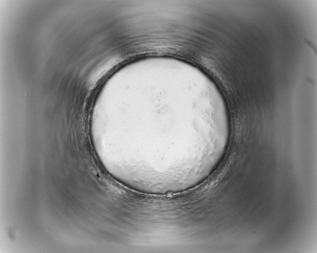 X0000102261071200808151835