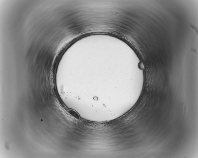 X0000102261072200808151835