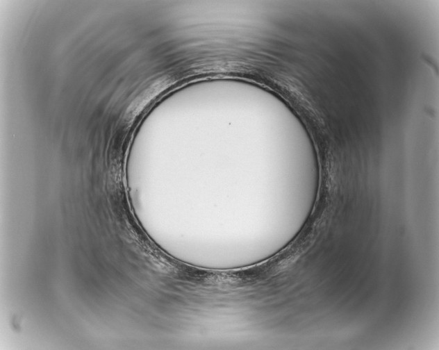 X0000102261073200808151835