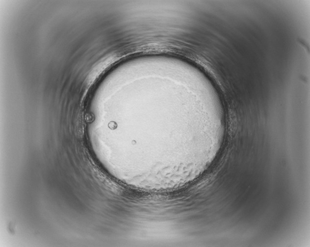 X0000102261075200808151835