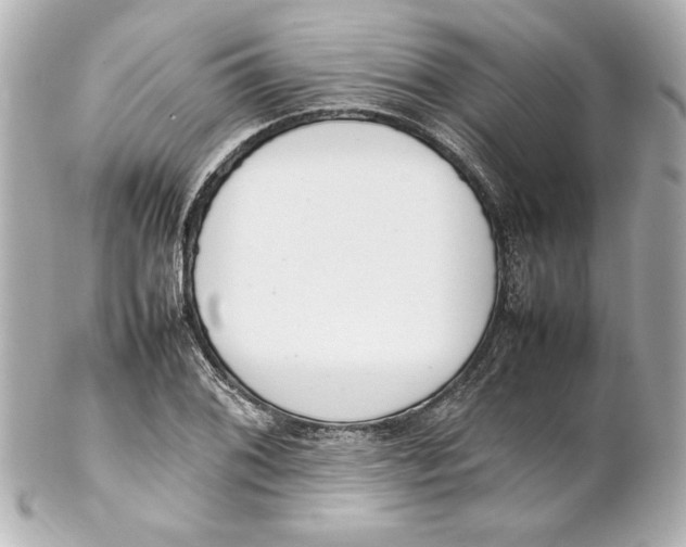 X0000102261076200808151835