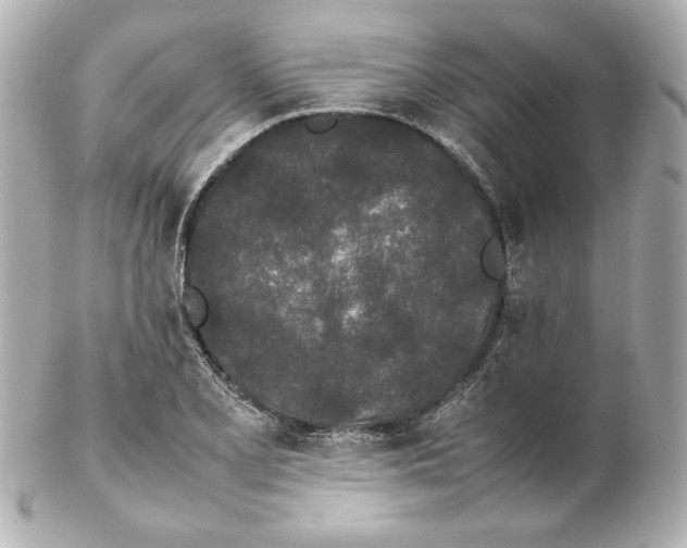 X0000102261077200808151835