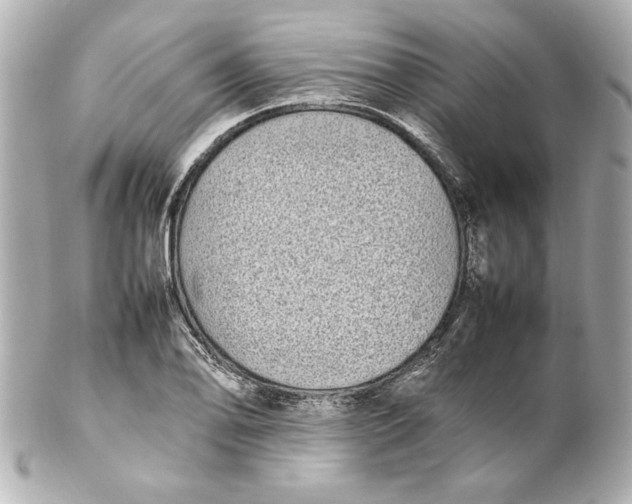 X0000102261078200808151835