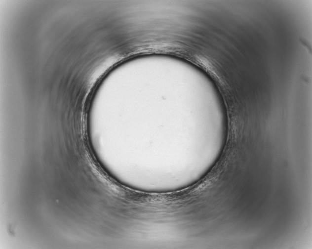 X0000102261079200808151835