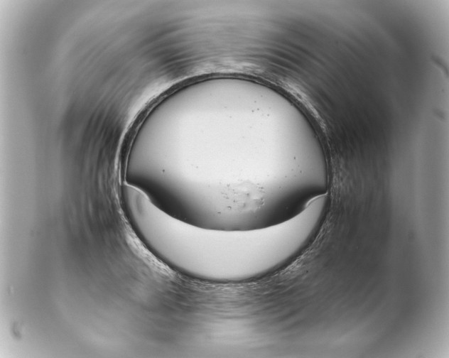 X0000102261080200808151835