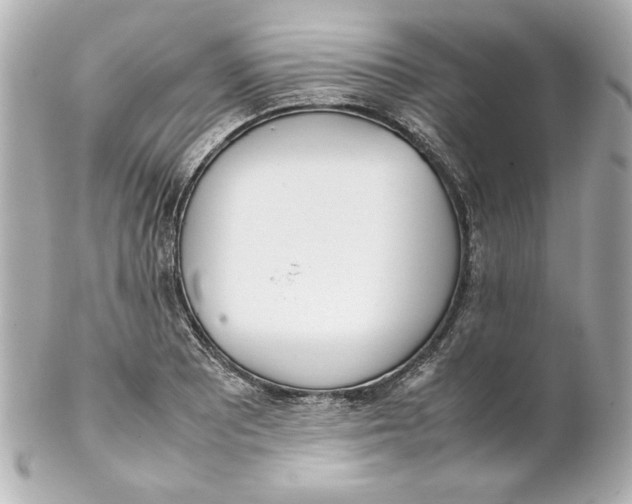 X0000102261081200808151835