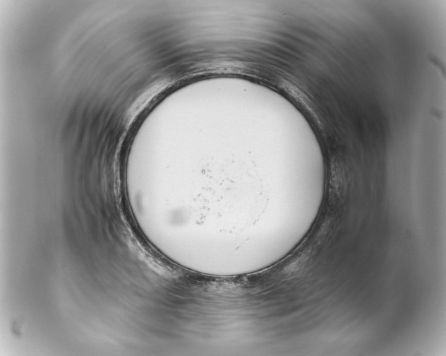 X0000102261082200808151835