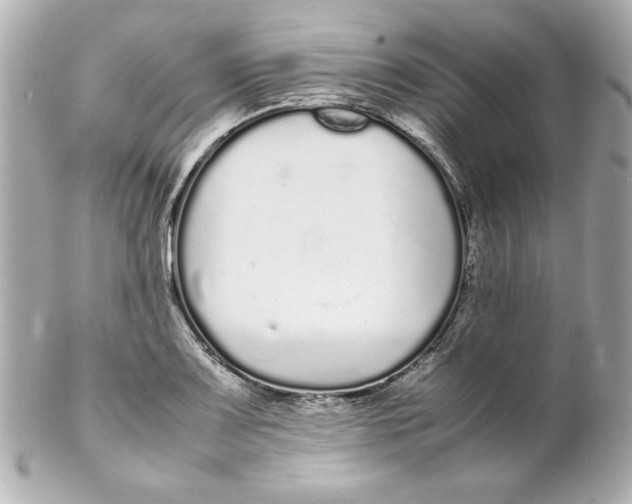 X0000102261083200808151835