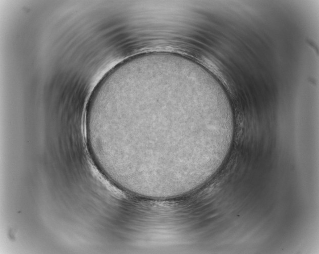 X0000102261084200808151835