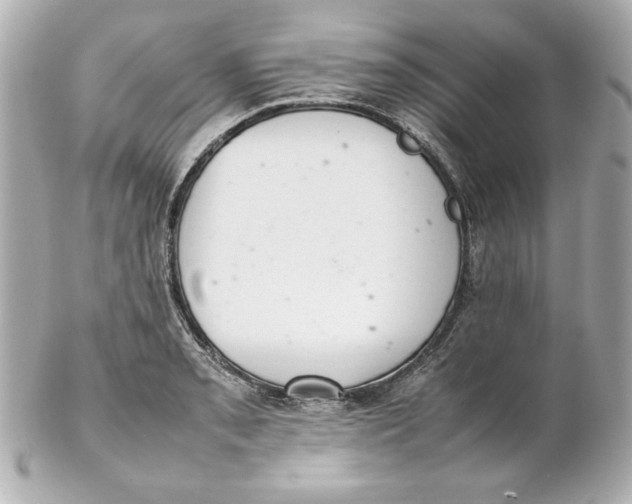 X0000102261085200808151835