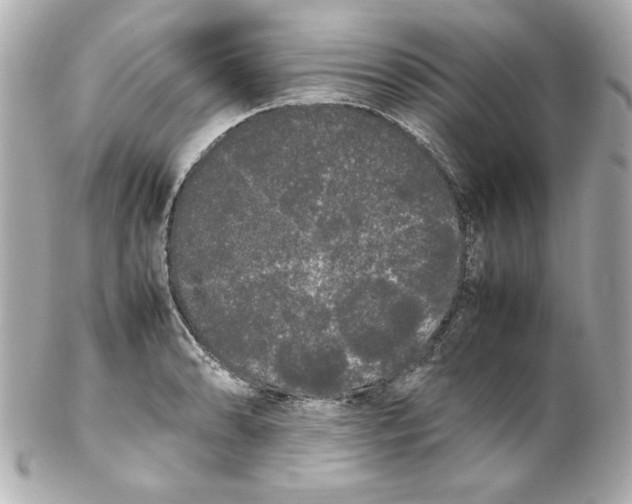 X0000102261086200808151835