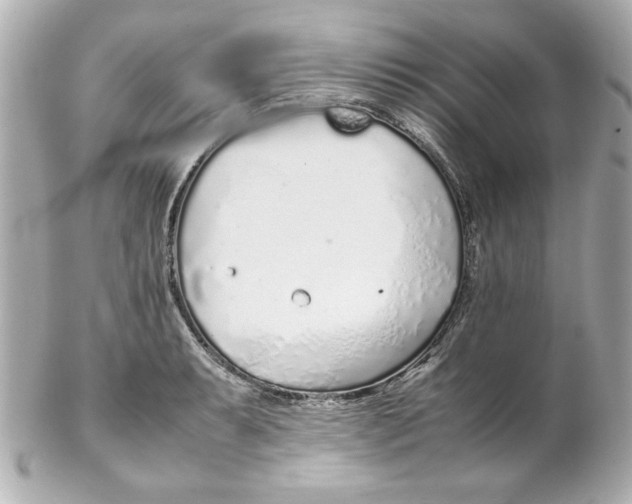 X0000102261087200808151835