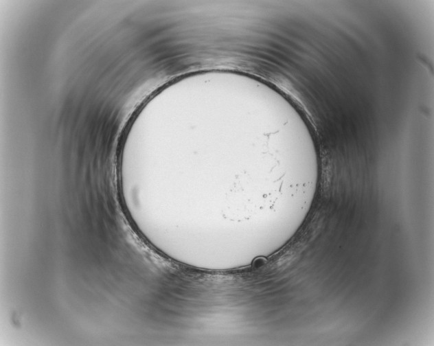 X0000102261088200808151835