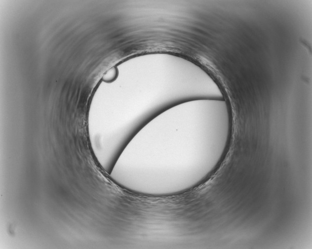 X0000102261089200808151835