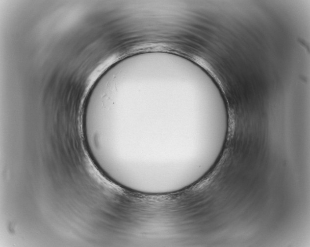 X0000102261090200808151835