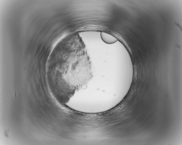 X0000102261091200808151835