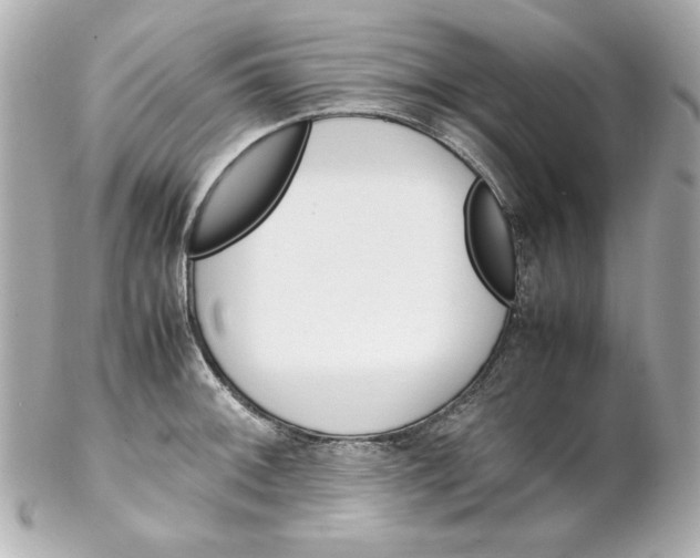 X0000102261092200808151835