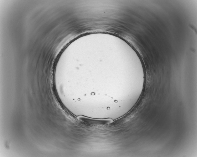 X0000102261093200808151835