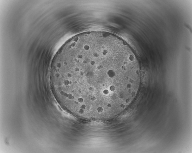 X0000102261094200808151835