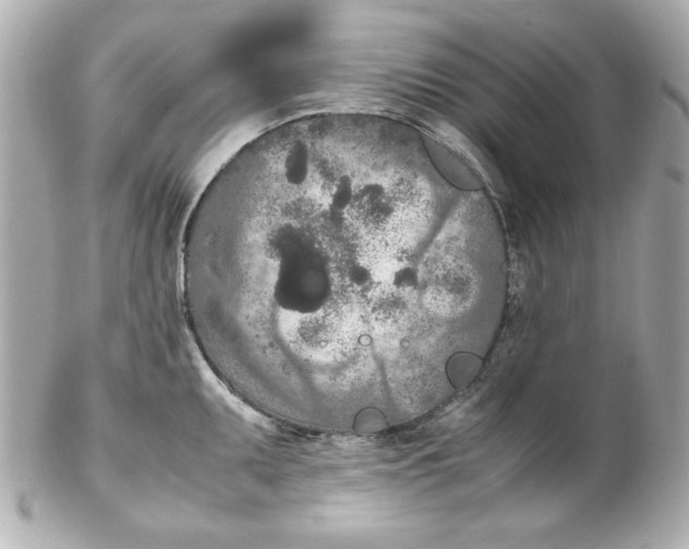 X0000102261095200808151834