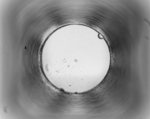 X0000102261096200808151834