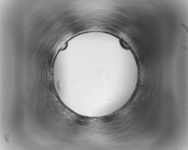 X0000102261097200808151834