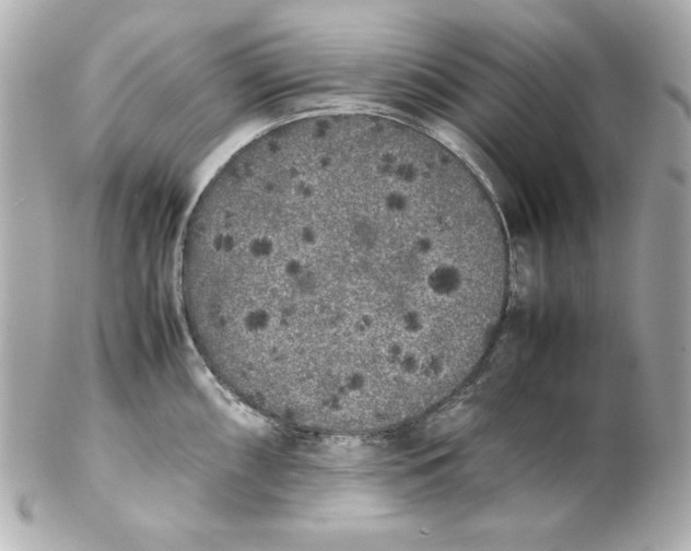 X0000102261098200808151834